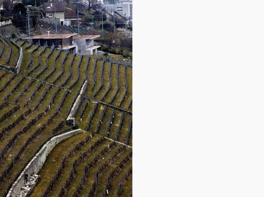 Mar Ab  Vue Densemble 3  I