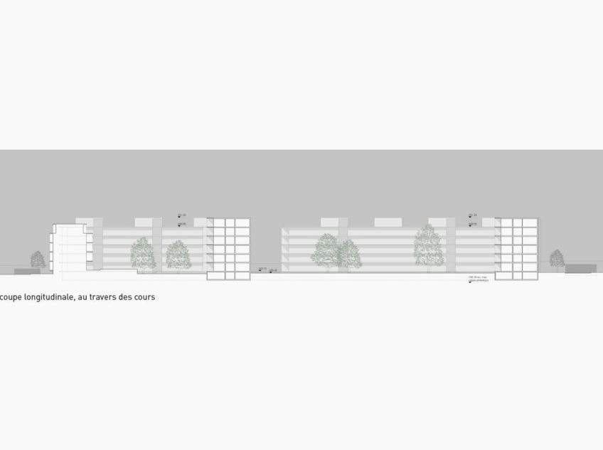 Duca  Coupe Caracteristique 2  I